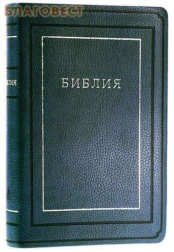 ���������� ���������� �������� ������. ��� �������������� ����. �������� �� ������������� ����. ������� ����� � �����������