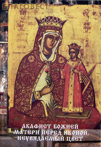 ��������, ������ ������� ������ ������ ����� ������ "����������� ����"