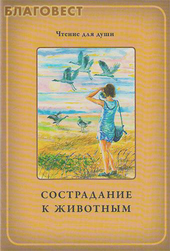 ИП Жданова Сострадание к животным. О. А. Белевцева, Т. Д. Жданова ИП Жданова Сострадание к животным. О. А. Белевцева, Т. Д. Жданова