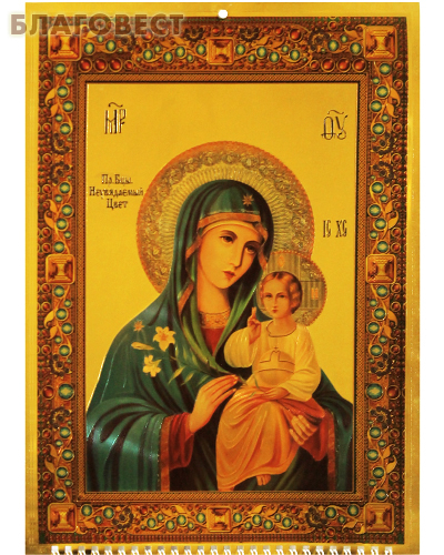 ������� ������������ ���������� ��������� "��������� ���������� ����������� ����" �� 2021 ���